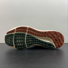 Cargar imagen en el visor de la galería, Air Zoom Pegasus 39 A.I.R. HOLA LOU Gorge Green Ale Brown DO9500-300