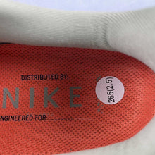 Cargar imagen en el visor de la galería, Air Zoom Pegasus 41 Neutral Olive Parachute Beige HJ7331-276