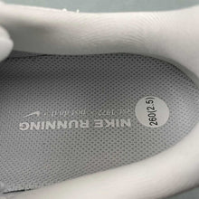 Cargar imagen en el visor de la galería, Air Zoom Pegasus 41 Pure Platinum Metallic Silver White FD2722-102