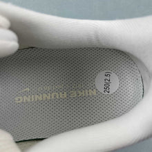 Cargar imagen en el visor de la galería, Air Zoom Pegasus 41 Light Pumice Metallic Gold FD2723-005