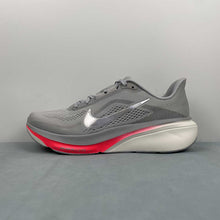 Cargar imagen en el visor de la galería, Air Zoom Pegasus 42 SE Wolf Grey Metallic Silver IB1873-004
