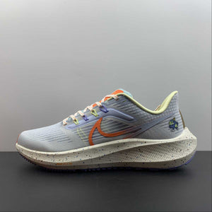 Air Zoom Pegasus 39 White Ice Blue Orange DX6047-181