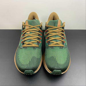 Air Zoom Pegasus 39 A.I.R. HOLA LOU Gorge Green Ale Brown DO9500-300
