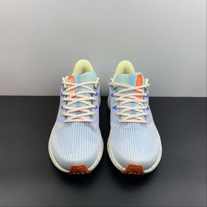 Air Zoom Pegasus 39 White Ice Blue Orange DX6047-181