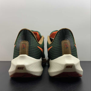Air Zoom Pegasus 39 A.I.R. HOLA LOU Gorge Green Ale Brown DO9500-300