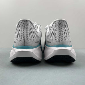 Air Zoom Pegasus 41 White Dusty Cactus Glacier Blue Black FD2722-103