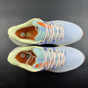 Air Zoom Pegasus 39 White Ice Blue Orange DX6047-181