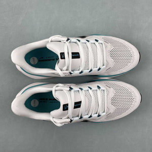 Air Zoom Pegasus 41 White Dusty Cactus Glacier Blue Black FD2722-103