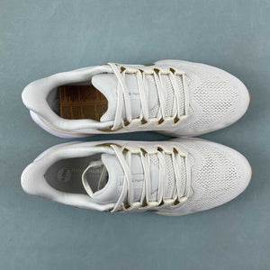 Air Zoom Pegasus 41 Light Pumice Metallic Gold FD2723-005