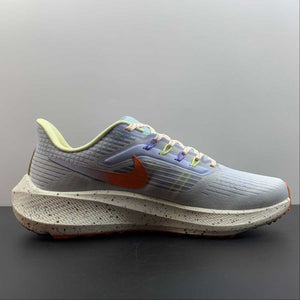 Air Zoom Pegasus 39 White Ice Blue Orange DX6047-181