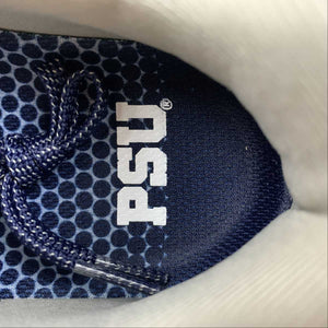 Air Zoom Pegasus 39 Navy Blue Grey White DR1972-400