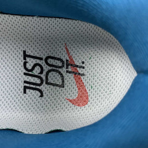 Air Zoom Pegasus 39 A.I.R. HOLA LOU White Blue-Team Red FD4322-161
