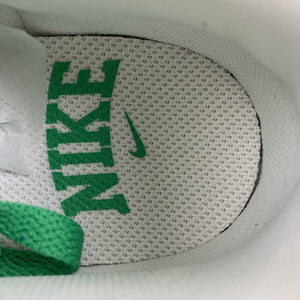 SB Dunk Low Celtics White Green Black FN3612-300