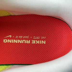 Air Zoom Pegasus 41 White Bright Crimson Glacier Blue Chrome FD2722-100