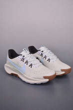 Cargar imagen en el visor de la galería, Nike Reactx Pegasus Trail 5 Next Nature Ivory Light Blue DV3865-103
