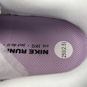 Air Zoom Pegasus 41 Lilac Bloom Pure Platinum Black Platinum Tint FD2723-004