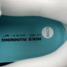 Cargar imagen en el visor de la galería, Air Zoom Pegasus 41 White Dusty Cactus Glacier Blue Black FD2722-103
