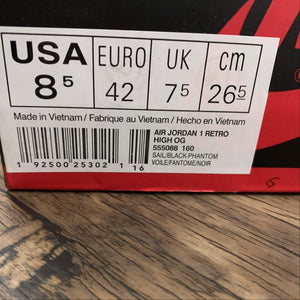 Air Jordan 1 Retro High OG Phantom 555088-160